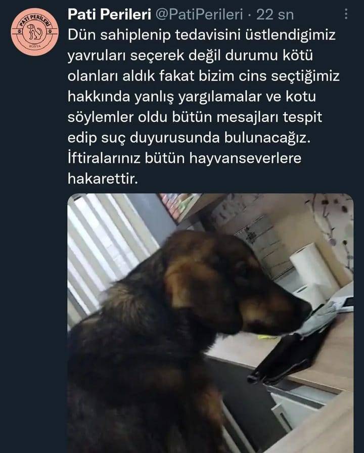 Konya barınağındaki hayvanları sahiplendiler 9